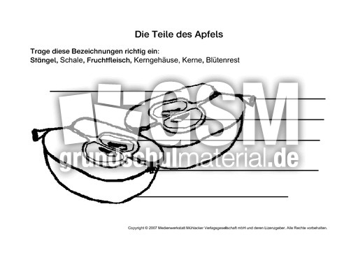 AB-Teile-des-Apfels.pdf